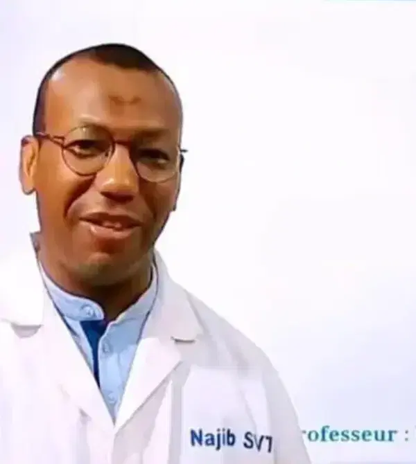 Professeur Najib - Kenitra