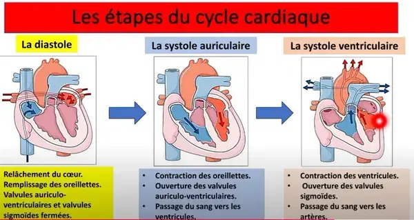 Professeur Biyadh - Casablanca